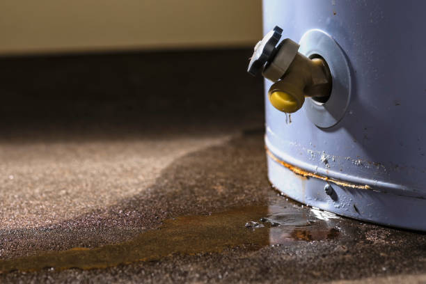 Best Flooded house restoration  in Avra Valley, AZ
