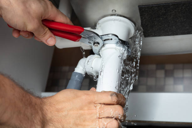 Best Water damage cleanup near me  in Avra Valley, AZ