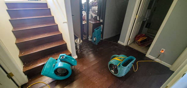 Water damage restoration process in Avra Valley, AZ