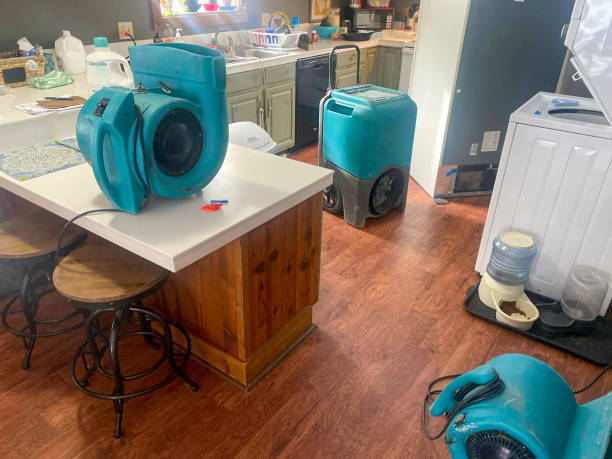 Best Water damage restoration near me  in Avra Valley, AZ