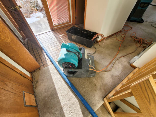 Best Carpet water damage restoration  in Avra Valley, AZ