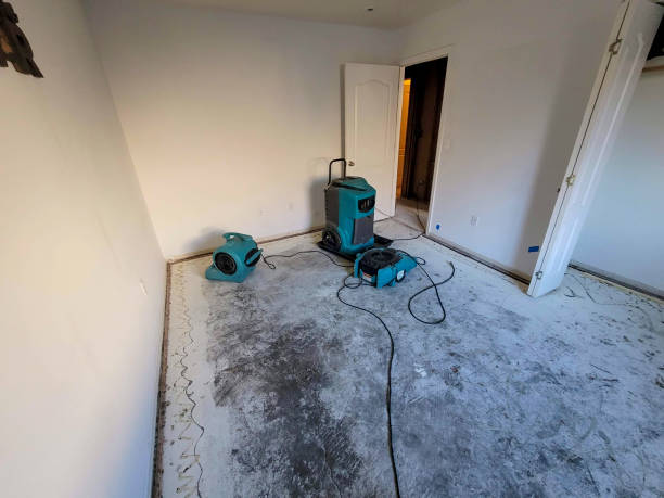Best Ceiling water damage repair  in Avra Valley, AZ