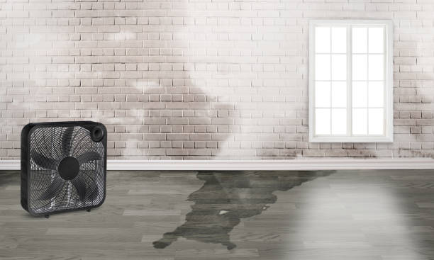 Water damage restoration insurance claims in Avra Valley, AZ