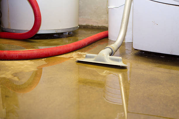 Best Commercial water damage restoration  in Avra Valley, AZ
