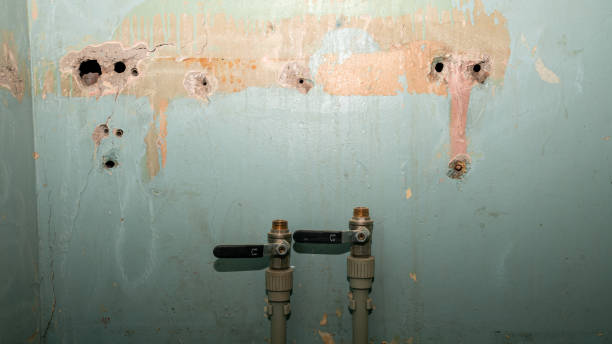 Best Fire Damage Restoration  in Avra Valley, AZ