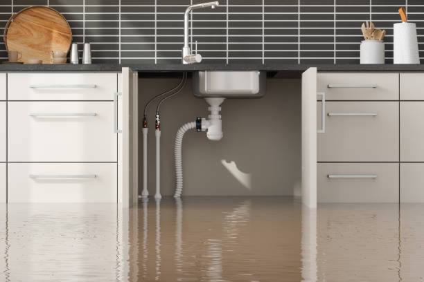 Best Mold removal after water damage  in Avra Valley, AZ