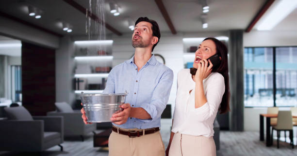 Best Water damage restoration specialists  in Avra Valley, AZ