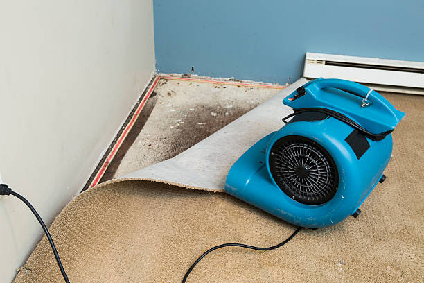 Best Flood restoration services  in Avra Valley, AZ